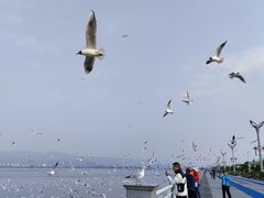 -滇池海埂公园