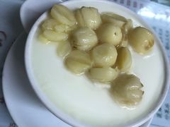 -义顺牛奶公司(新马路老店)