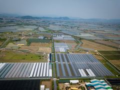 -米果果小镇