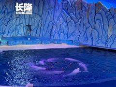 -珠海长隆海洋王国
