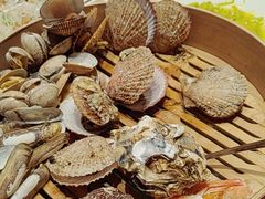 -老山东·山东菜(鲁菜名店)