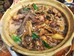 掌翼煲-广宁炭炉鸡煲·富临门饭店