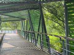 -西湖风景区-江洋畈生态公园