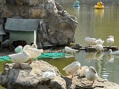 -团结湖公园