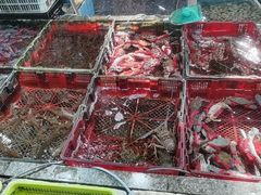 -霞涌市场海鲜摆卖区