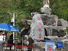 -大岭沟猕猴桃谷风景区