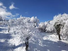 -太子岭滑雪场