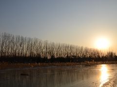-东郊湿地公园