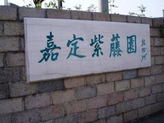 -嘉定紫藤园
