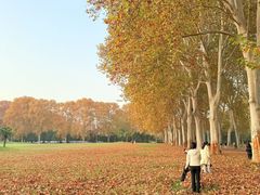 -河南省黄河迎宾馆