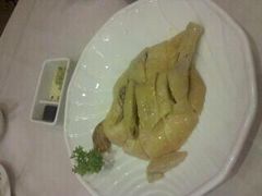 六婶清远鸡-六婶西关小厨(光塔路店)