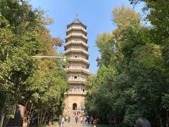 -灵谷景区