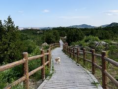 -白水寺森林公园