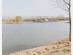 -东郊湿地公园