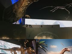 -贝林大翅鲸简餐厅(国家海洋博物馆店)