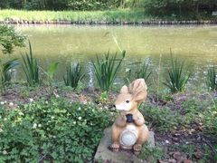 -溱湖国家湿地公园