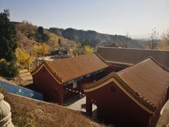 -遵化市禅林寺古银杏风景园