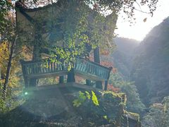 -花岩国家森林公园