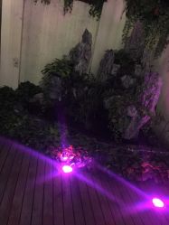 -素颜秀·纹眉·野生眉·纹唇半永久
