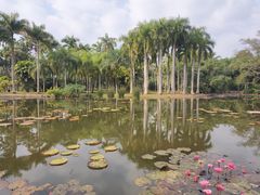 -中国科学院西双版纳热带植物园