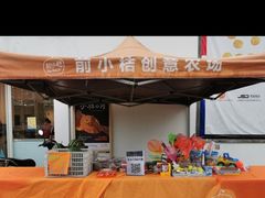 -前小桔亲子创意农场·草莓采摘·露营烧烤