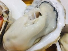 -蚝专家(北滘店)