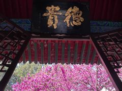 -万寿八仙宫
