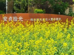 -BHG生活超市(安贞店)