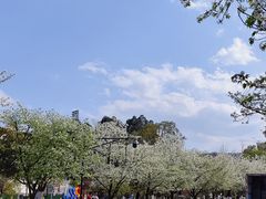 -成都大学-图书馆