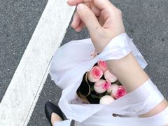 -溪岸路花鸟市场