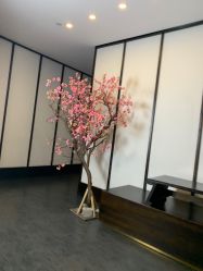 -凤绫儿亲子儿童摄影馆(上海店)
