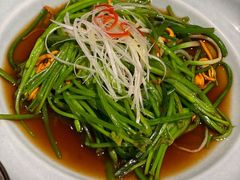 不知道名字的野菜-都氏二当家(九方店)