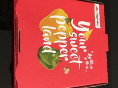 -必胜客(北苑路店)