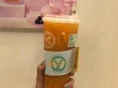 心想柿橙-雅克雅思(纱帽河店)
