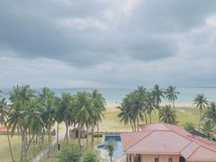 -东郊椰林