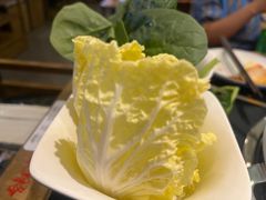 -井格重庆火锅(西直门凯德Mall店)