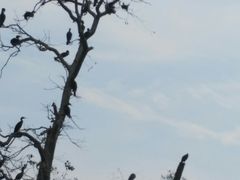 -惠州皇冠假日酒店·西餐厅·自助餐厅