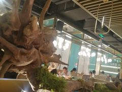 -鲜潭蒸汽石锅鱼(五道口购物中心店)