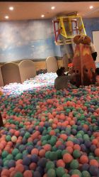 -卡通尼·Safari非洲探索乐园·生日会(金桥国际商业广场店)