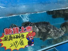 -港畔赶海蒸汽海鲜烧烤自助(仙螺岛店)