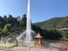 -西双版纳原始森林公园