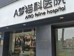 -御宝贝·A梦猫科宠物医院(国际猫友好医院)