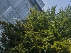 -百荣世贸商城