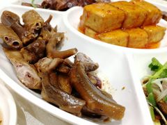 鹅掌亦-优之名鹅城