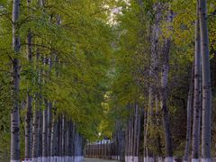 -百里山水画廊