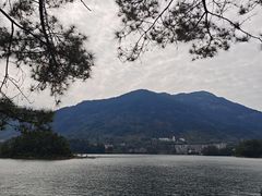 -广州市流溪河国家森林公园