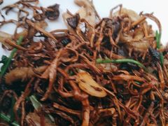 -老山东·山东菜(鲁菜名店)