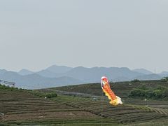 -龙坞茶村