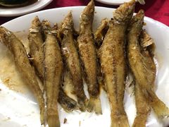 -蛇口康乐快餐鱼仔档(翠苑小区店)
