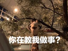 -上海自然博物馆